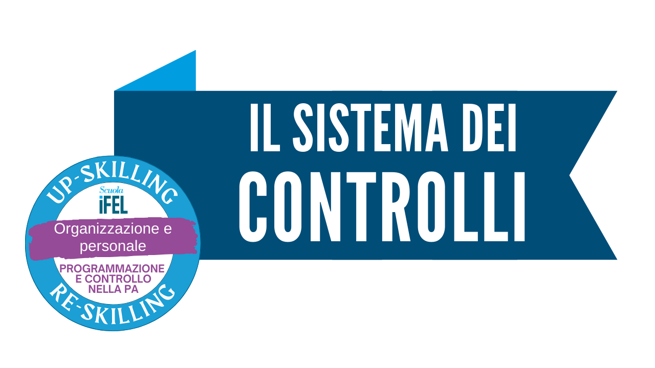  Il sistema dei controlli